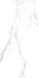 Керамограніт Teo Ceramics Allore Carrara White F P 600x1200x8 R Full Lappato CARRARA-WHITE-60120 фото 3