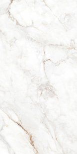 Керамограніт TEO CERAMICS (ALLORE) Palazzo White F P 600&times;1200&times;8 R Full Lappato 1 сорт MJT30F31210G фото