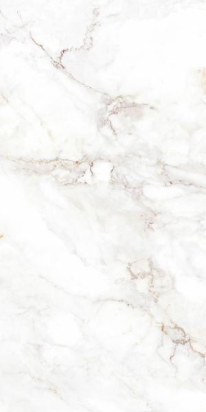 Керамограніт TEO CERAMICS (ALLORE) Palazzo White F P 600&times;1200&times;8 R Full Lappato 1 сорт MJT30F31210G фото