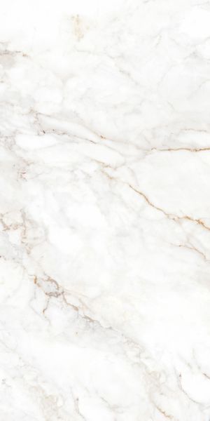 Керамограніт TEO CERAMICS (ALLORE) Palazzo White F P 600&times;1200&times;8 R Full Lappato 1 сорт MJT30F31210G фото