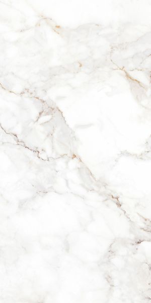 Керамограніт TEO CERAMICS (ALLORE) Palazzo White F P 600&times;1200&times;8 R Full Lappato 1 сорт MJT30F31210G фото