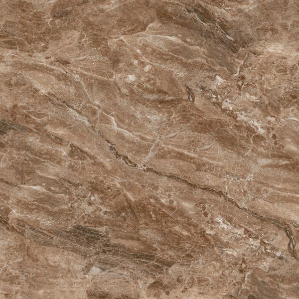 Керамограніт Bruno Brown F P 600x600x8 RN Mat (плитка коричнева матова) PLK-BRN-BRN-6060 фото